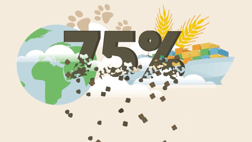 motion design entreprise