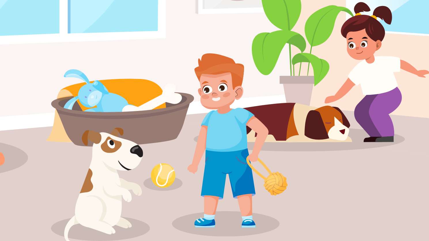 motion design pour une association